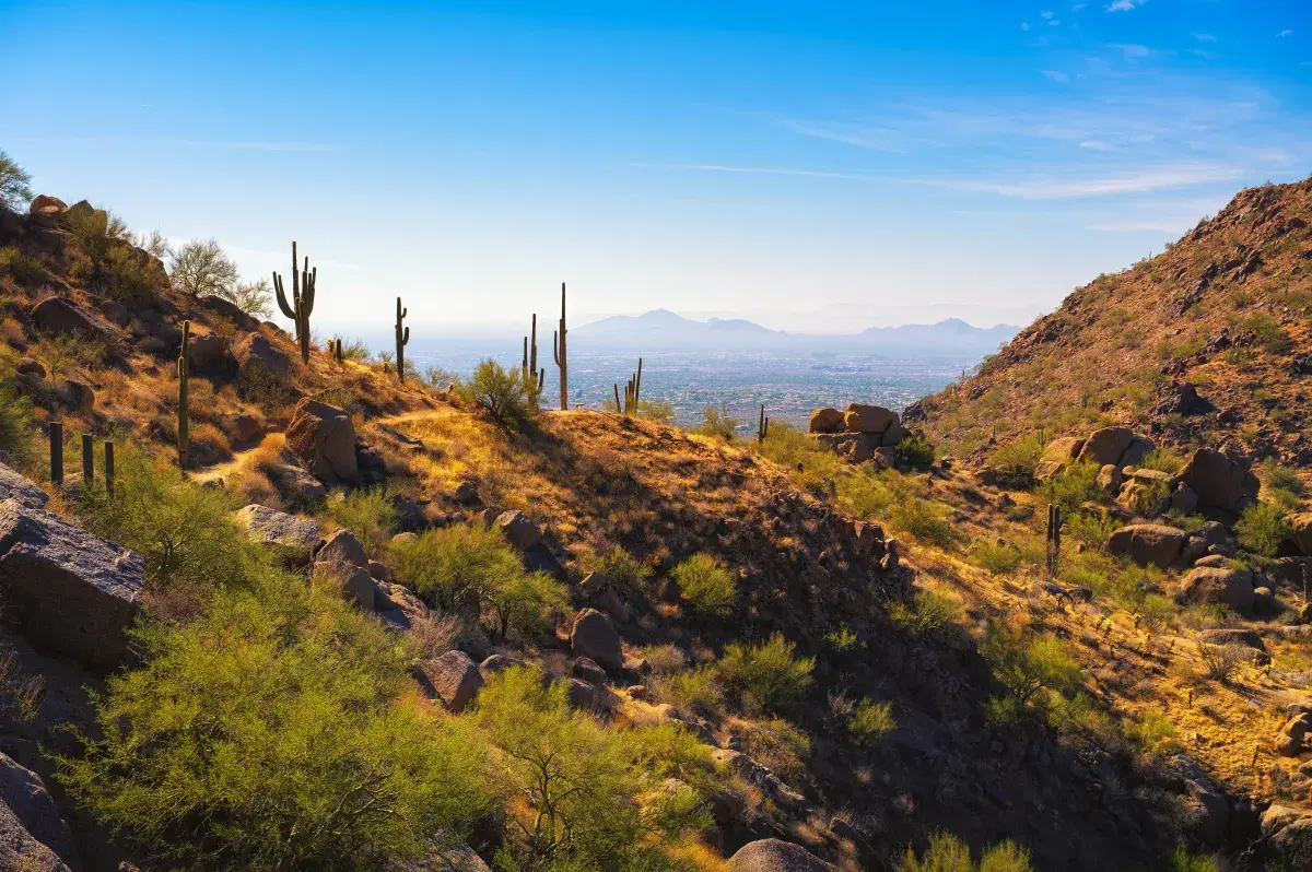 Arizona Electricity Rate Increases: Protecting Yourself from APS & SRP