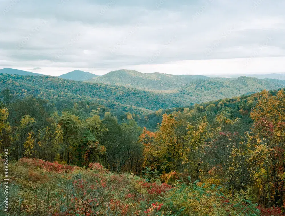 The Virginia Solar Panel Installation Process & HOA Laws